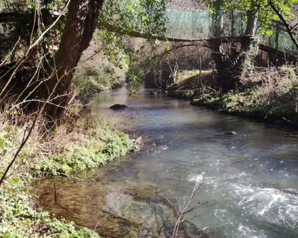 Un suggestivo ponte tibetano nel Lazio attraversa un ruscello tra alberi e vegetazione rigogliosa, creando un'atmosfera incantevole.