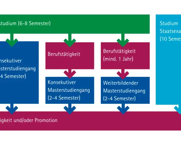 Studienverlauf: Bachelor, Berufstätigkeit, Master oder Staatsexamen (10 Semester), vergleichbar mit Bachelor.