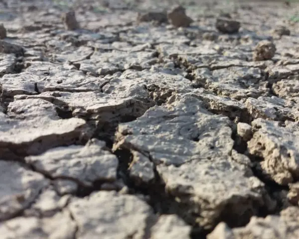Terreno arido e crepato, un esempio di suolo che necessita di interventi per come abbassare la salinità del terreno e renderlo fertile.