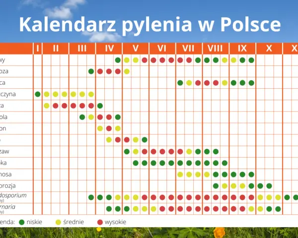 Co pyli w Szczecinie? Aktualny raport + kalendarz i ulga dla alergika