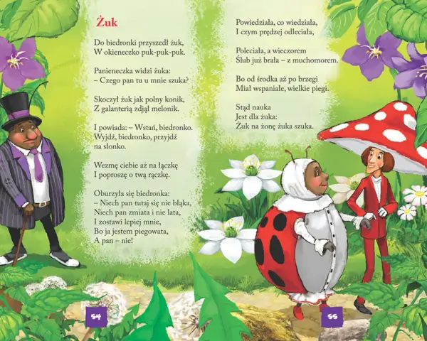 Ilustracja do wierszy o przyrodzie Jana Brzechwy. Żuk w meloniku i biedronka w sukni rozmawiają wśród kwiatów.
