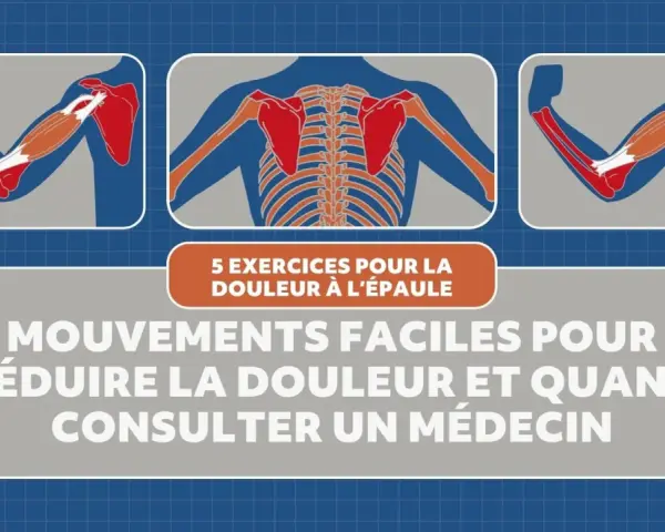 Illustrations anatomiques montrant les muscles de l'épaule et du bras, avec le texte "5 exercices pour la douleur à l'épaule". Idéal pour les tendinite épaule exercices.