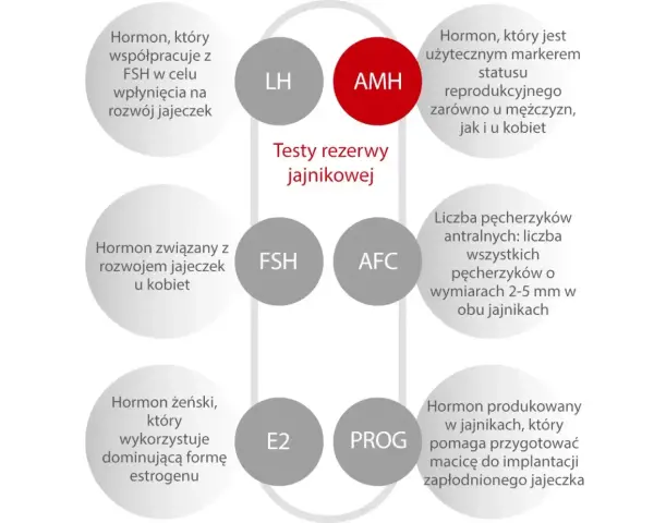 AMH badanie: hormon kluczowy dla oceny rezerwy jajnikowej, marker płodności u obu płci.