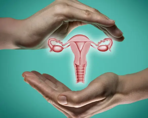 Dwie dłonie otaczają macicę z jajowodami. Ilustracja symbolizuje troskę o długość szyjki macicy w 30 tygodniu ciąży.