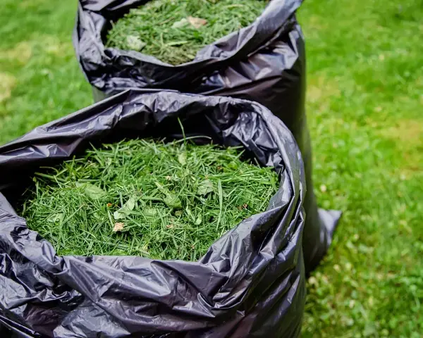 Dwa czarne worki wypełnione zieloną trawą, gotowe do kompostowania. Zgnita trawa jako nawóz wzbogaci glebę.