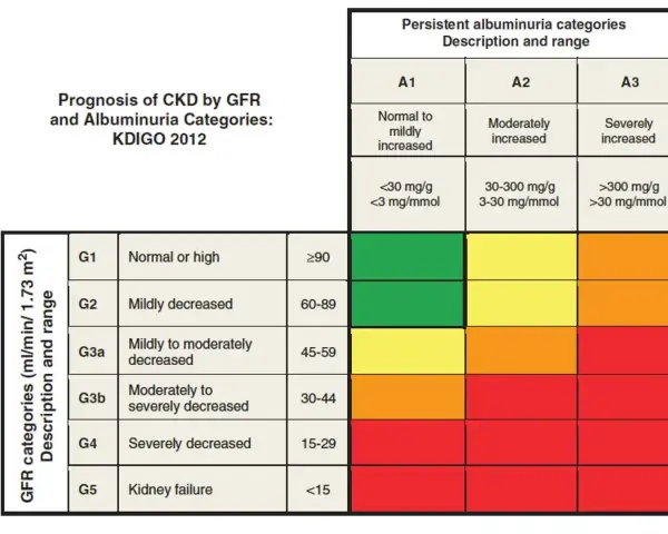 Tabela prognozy PChN wg KDIGO 2012. Pokazuje, jak egfr co to i albuminuria wpływają na ryzyko.