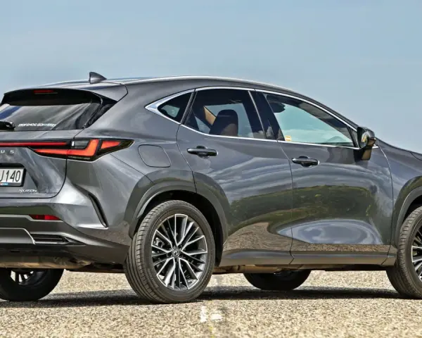 Szary Lexus NX 450h+ na drodze, w tle pole rzepaku. Sprawdź aktualną lexus nx cena.