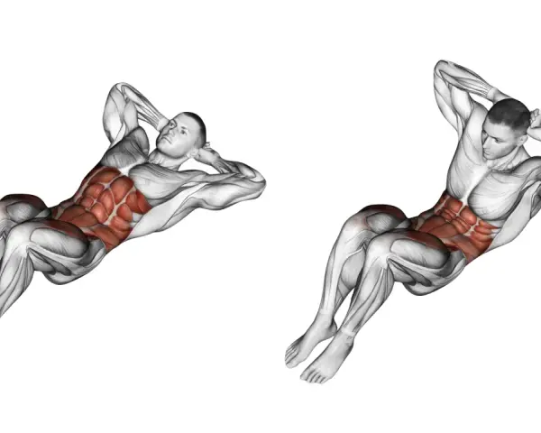 Anatomie d'un homme en mouvement de crunch inversé, montrant les muscles abdominaux saillants.