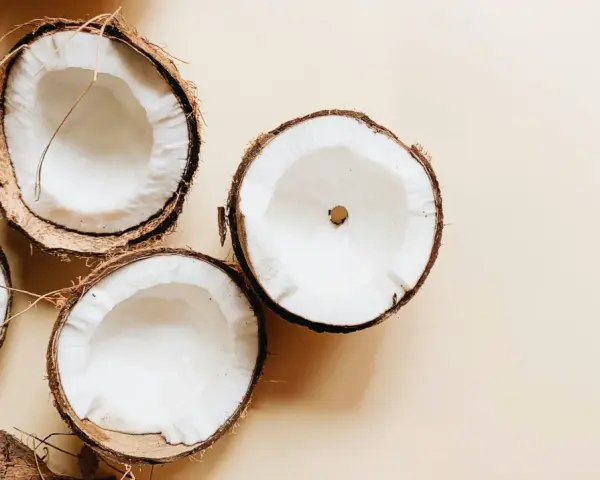 Plusieurs moitiés de noix de coco fraîches, révélant leur chair blanche et crémeuse. Un aperçu des bienfaits de l'huile de coco.