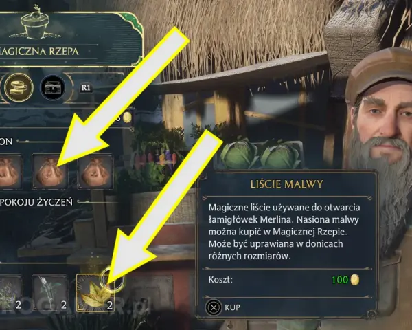 Gracz w grze Hogwarts Legacy kupuje nasiona malwy w Magicznej Rzepie.