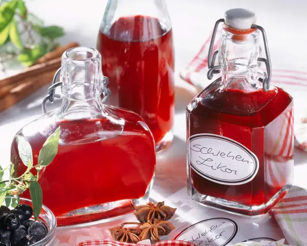 Flaschen mit rotem Schlehenlikör, inspiriert von Schlehen-Rezepten. Daneben frische Schlehen, Zimt und Sternanis.