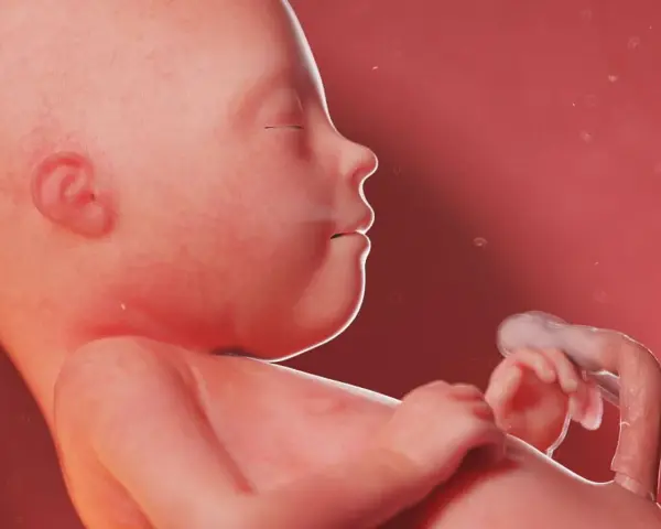 Dziecko w 21 tygodniu ciąży, z zamkniętymi oczami i dłońmi blisko twarzy, otoczone płynem owodniowym.