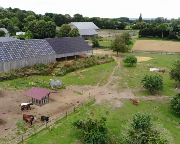 Vue aérienne d'une ferme équestre avec des chevaux au pré, des abris et un manège. Le bâtiment principal est équipé de panneaux solaires, offrant un hébergement chevaux moderne et écologique.