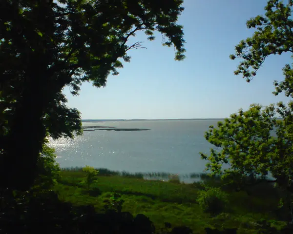 Zielone drzewa otaczają spokojne jezioro Gardno. Słońce odbija się od wody, tworząc błyszczące refleksy.