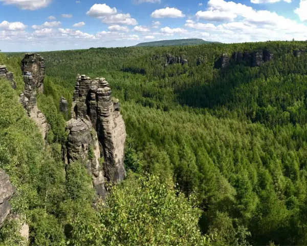 Felsformationen im Bielatal, ideal zum Wandern. Ein Wanderer genießt die Aussicht auf den dichten grünen Wald unter blauem Himmel.