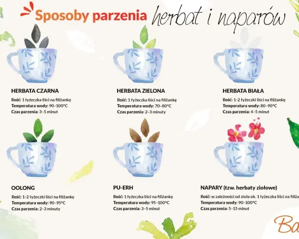 Ilustracja pokazuje sposoby parzenia różnych herbat, w tym zielonej herbaty, która zawiera kofeinę. Podano ilości liści, temperaturę wody i czas parzenia.