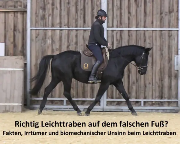 Reiter auf schwarzem Pferd im Trab. Die Frage "Richtig Leichttraben auf dem falschen Fuß?" wird thematisiert.