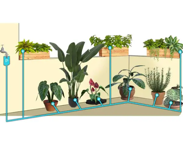 Sistema di irrigazione a goccia fai da te con bottiglia, che collega un rubinetto a diverse piante in vaso e fioriere.