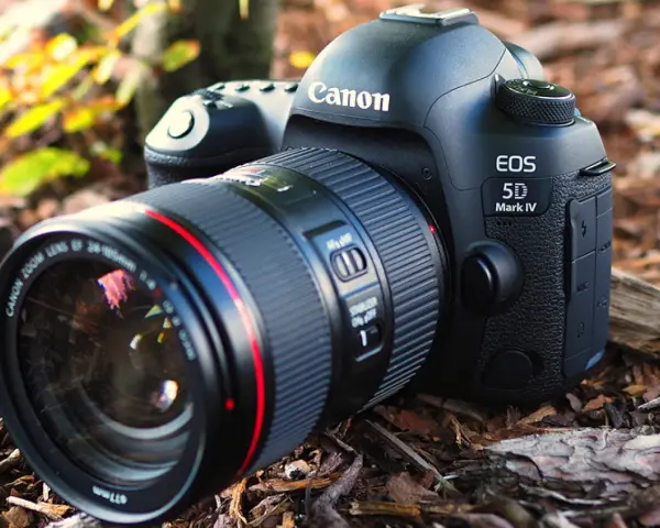 Profesjonalny aparat Canon EOS 5D Mark IV z obiektywem leży na leśnym podłożu.