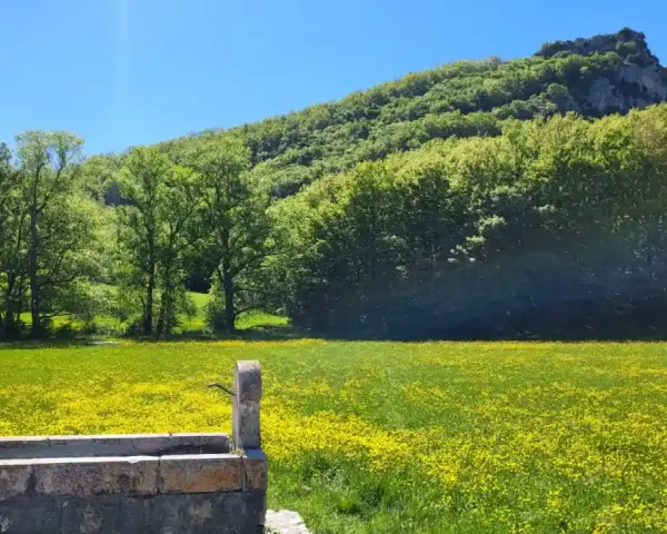 Un antico lavatoio in pietra, una fonte della noce, si affaccia su un prato fiorito di giallo, con alberi rigogliosi e una montagna sullo sfondo.