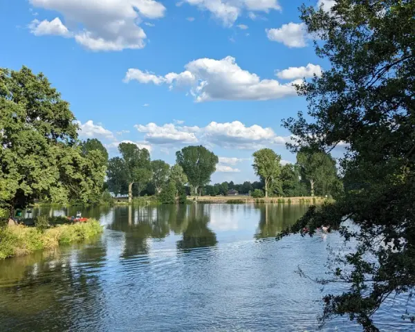 Sommerliche Idylle am badesee bamberg. Grüne Bäume spiegeln sich im ruhigen Wasser, der Himmel ist blau mit weißen Wolken.