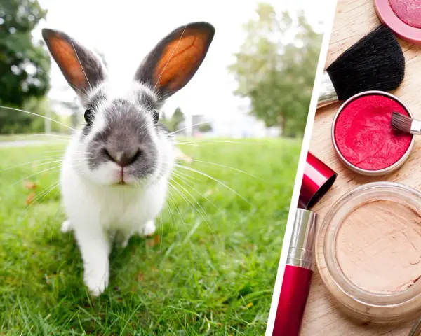 Kosmetik mit Tierversuche: Die versteckten Risiken und Alternativen