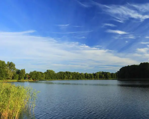 Spokojne jezioro Wejsunek otoczone zielonymi drzewami, z trzcinami na pierwszym planie i błękitnym niebem z chmurami.