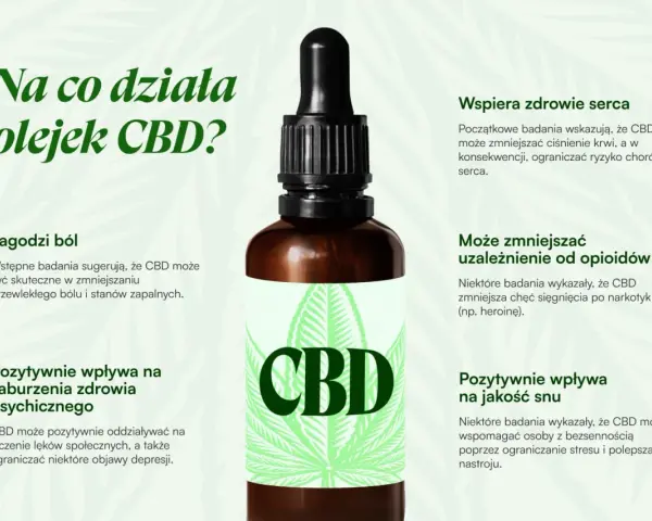 Olej CBD łagodzi ból, wspiera serce, poprawia sen i może zmniejszać uzależnienia. Dowiedz się, na co działa olejek CBD.
