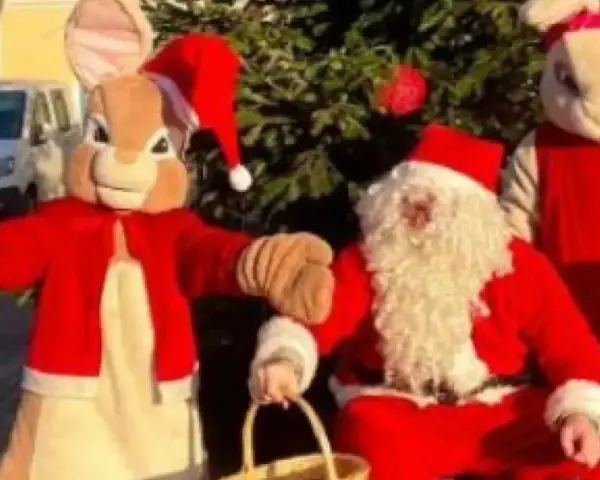 Tomten och två påskharen-liknande figurer i tomtedräkter. En julrebus med svar?