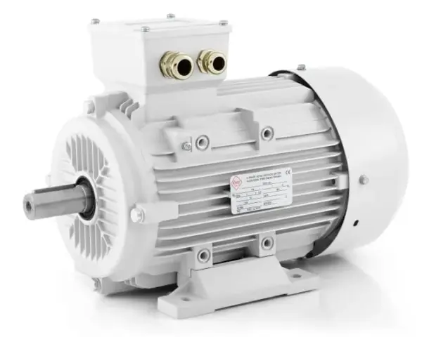100 kW (136 ch) : Le moteur électrique idéal pour vous ?