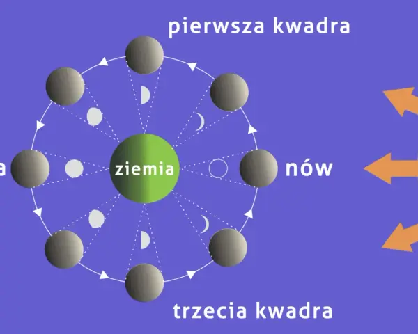 Cykl faz księżyca wokół Ziemi: nów, pierwsza kwadra, pełnia, trzecia kwadra. Słońce oświetla Księżyc, tworząc widoczne fazy.