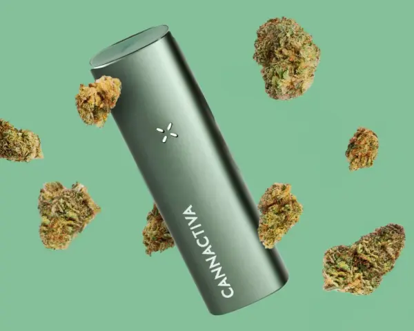 Vaper verde con el logo "CANNACTIVA" rodeado de cogollos de cannabis.