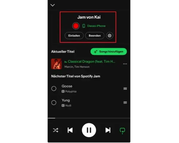 Spotify Jam Session von Kai: "Classical Dragon" läuft, "Goose" und "Yung" sind als nächste Titel gelistet.