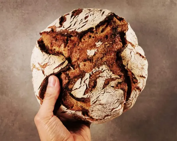 Hand hält ein rustikales Brot aus Emmer Urkorn mit knuspriger Kruste und dunkler Krume.