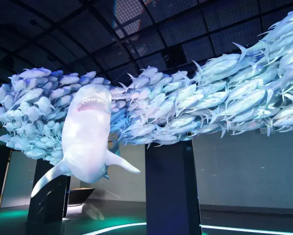 Rekin wśród ławicy ryb, instalacja w Muzeum Wody Wrocław.