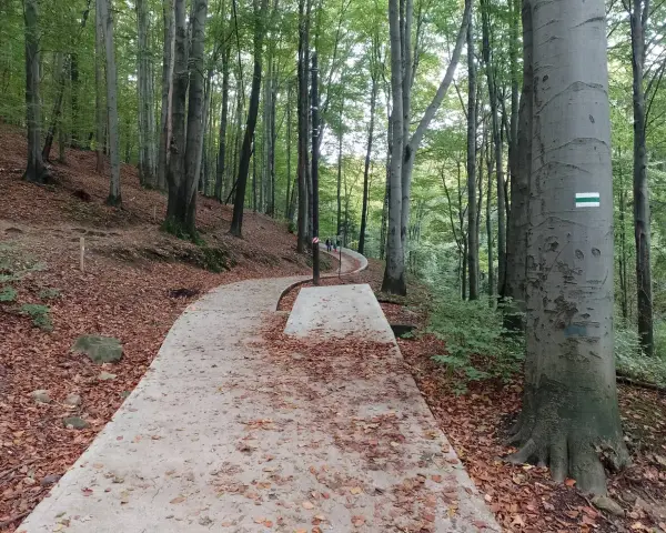 Kamienna ścieżka w lesie, liście na ziemi, a na drzewie znak szlaku. W oddali widać ludzi idących na Kozia Górę.