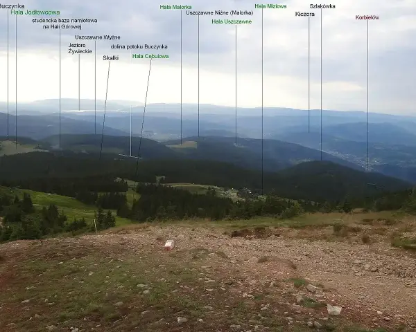 Widok na Beskid Żywiecki z licznymi szczytami: Buczynka, Hala Jodłowcowa, Jezioro Żywieckie, Kiczora.
