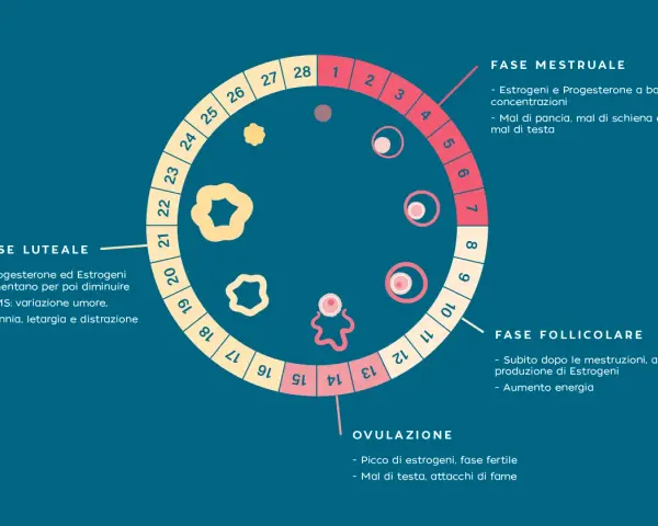 Schema del ciclo mestruale, con le fasi (mestruale, follicolare, ovulazione, luteale) e i relativi sintomi, utile per il cycle syncing.