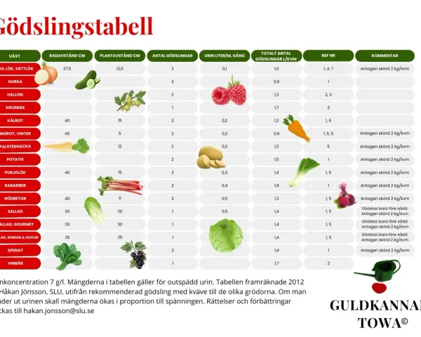 Tabell visar gödsling av grönsaker med urin. Gurka behöver 3 gödslingar, 0,1 liter per gång. Guldvatten till gurka ger bra skörd.