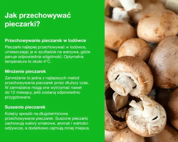 Jak przechowywać pieczarki: w lodówce, mrożone lub suszone. Porady dotyczące długoterminowego przechowywania pieczarek.