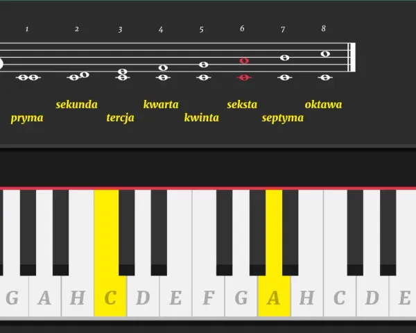 Diagram muzyczny wyjaśnia, co to jest ton, pokazując interwały na klawiaturze fortepianu i pięciolinii.