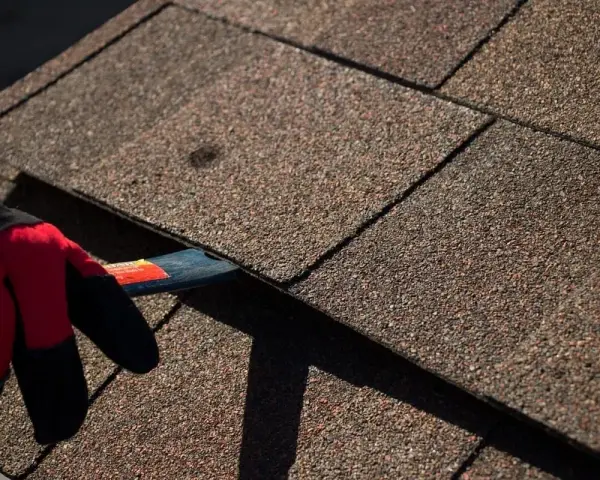 A gloved hand uses a tool to lift an asphalt shingle, indicating asphalt shingle roof repair is underway.