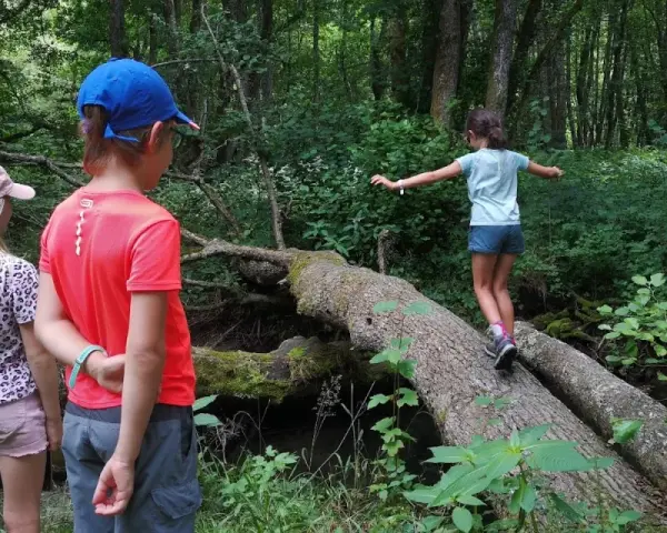 Une joyeuse randonnée avec enfants dans une forêt luxuriante. Une jeune fille traverse un tronc d'arbre tombé, tandis que deux autres enfants l'observent.