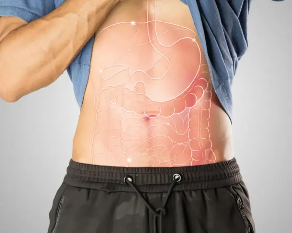 Anatomia brzucha z widocznym żołądkiem i jelitami. Gdzie jest woreczek żółciowy?