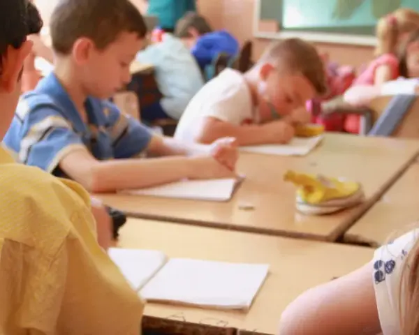 Bambini in classe studiano, un esempio di come le scienze pedagogiche cos'è, osservando l'apprendimento.
