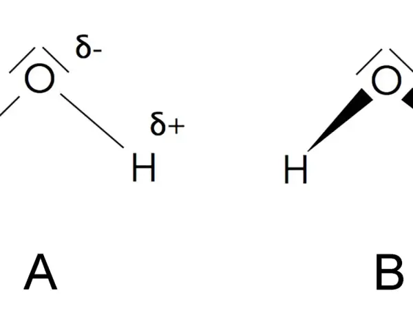 Zwei Wasser-Strukturformeln. A zeigt die polaren Bindungen mit partiellen Ladungen (δ+, δ-). B zeigt die V-förmige Struktur.