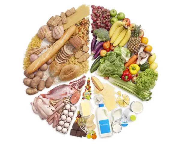 Un assortiment de fruits, légumes, céréales, viandes, poissons, œufs, produits laitiers et sucreries. Pour savoir comment grossir, il faut équilibrer ces groupes alimentaires.