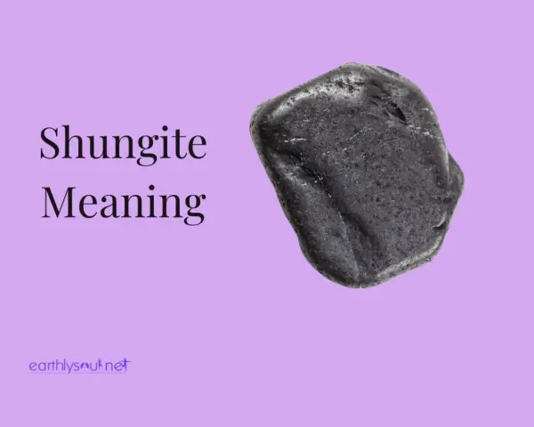 Pietra di shungite nera, nota per le sue proprietà protettive e purificanti.