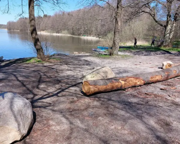 Spacer po brzegu jeziora Warzenko. Biały piesek bawi się przy wodzie, a w oddali widać dwie osoby i deski SUP.