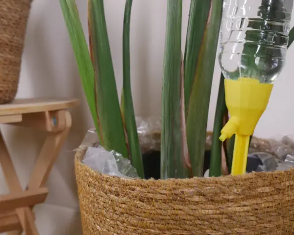 Dispositivo amarillo para regar plantas en vacaciones. Una botella de agua se inserta en la tierra para mantenerla hidratada.